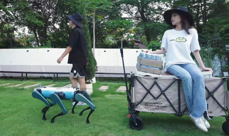 Six-legged Hexplorer robot dog pulling a loaded cart across a garden